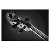 Fotografie Violin's fingerboard, michalPuchala, (40 x 26.7 cm)