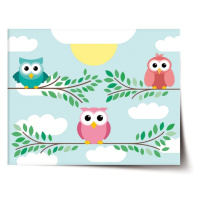 Plakát Sovičky - 90x60 cm