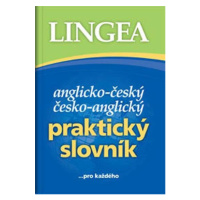 Praktický anglický slovník k maturitě Lingea