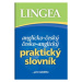 Praktický anglický slovník k maturitě Lingea