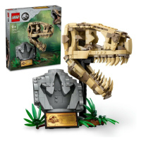 LEGO -  Jurassic World 76964 Dinosauří fosilie: Lebka T-Rexa