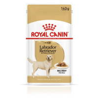 ROYAL CANIN Labrador Retriever Adult kousky v omáčce pro psy 20 × 140 g