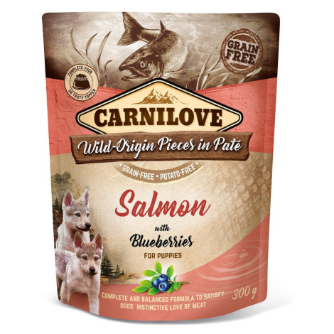 Carnilove Dog Pouch Paté Salmon with Blueberries for Puppies 300 g | Kapsička pro psy