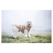 Vsepropejska Warm zimní bunda pro psa s kožichem Barva: Modrá, Délka zad (cm): 33, Obvod hrudník