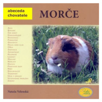 Morče - Abeceda chovatele