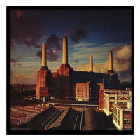 Pink Floyd: Animals - plakát v rámu