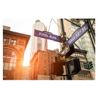 Fotografie Fifth Ave and West 33rd sign in New York City, ViewApart, (40 x 26.7 cm)