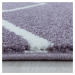 Ayyildiz koberce Kusový koberec Rio 4602 lila - 240x340 cm