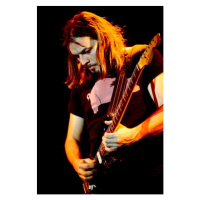 Fotografie David Gilmour, February 1977: concert of rock band Pink Floyd, 26.7 × 40 cm