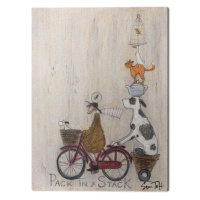 Obraz na plátně Sam Toft - Pack in a Stack, 2 cm - 30×40 cm