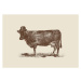 Bodart, Florent - Obrazová reprodukce Cow Cow Nut, 2016, (40 x 30 cm)