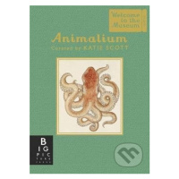 Animalium - Jenny Broom, Katie Scott (ilustrácie) - kniha z kategorie Naučné knihy