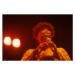 Fotografie Ella Fitzgerald performing at the Bussoladomani, 1980, 40 × 26.7 cm