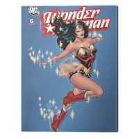 Obraz na plátně DC Comics - Wonder Woman - Sparkle, (60 x 80 cm)