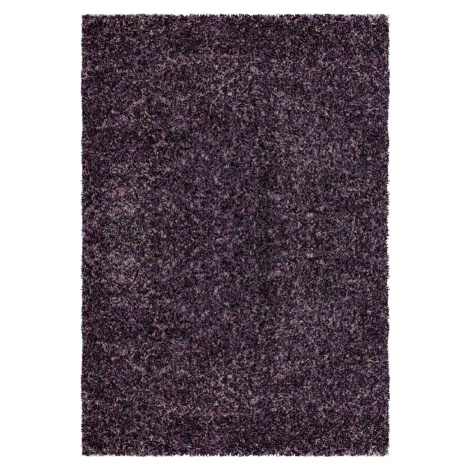 Ayyildiz koberce Kusový koberec Enjoy 4500 lila Rozměry koberců: 80x150