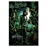 Umělecký tisk Harry Potter a Vězeň z Azkabanu - Sirius, 26.7 × 40 cm