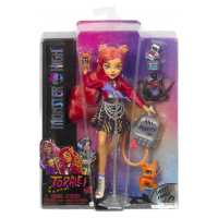 Monster High Panenka Toralei Stripes Acksesoria HHK57 Mattel