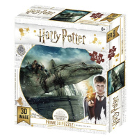 Harry Potter 3D puzzle - Norbert 300 dílků - Kolektiv