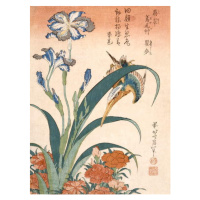 Obrazová reprodukce Kingfisher, Hokusai, Katsushika, 30 × 40 cm