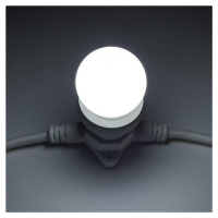 DecoLED LED žárovka - ledově bílá, patice E27, 12 diod