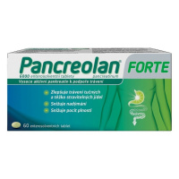 Pancreolan forte 6000U 60 tablet