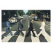 Plakát, Obraz - The Beatles - Abbey Road, (91.5 x 61 cm)