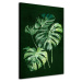 Obraz na plátně MONSTERA B různé rozměry Ludesign ludesign obrazy: 100x70 cm