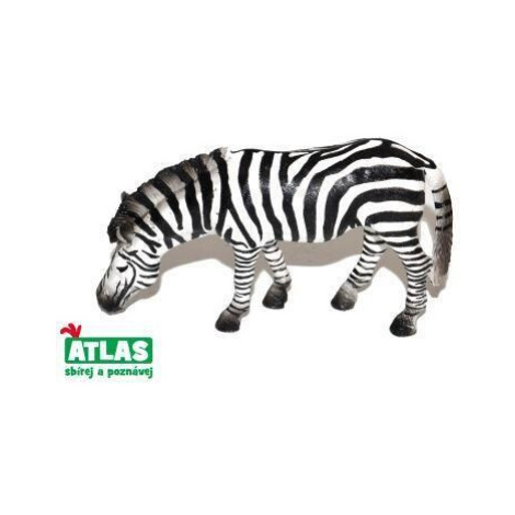 D - Figurka Zebra 11 cm ATLAS