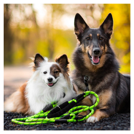 Azar nylonové vodítko pro psa | 300 cm Barva: Žlutá, Délka vodítka: 300 cm