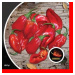 Paprika chilli Naga Morich PIQUANT