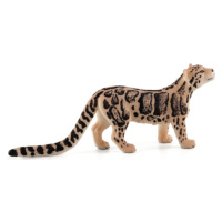Animal Planet Leopard číhající