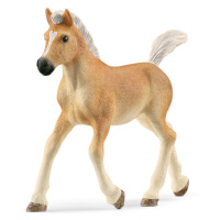 SCHLEICH - Zvířátko - Haflingerské hříbě