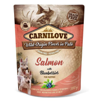 Carnilove Dog kapsička Paté Salmon & Blueber Puppies 300g