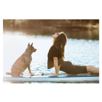 Fotografie Paddleboarding Woman With Dog, RyanJLane, 40 × 26.7 cm