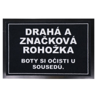 Drahá a značková rohožka 40x60 cm - na ven i na doma 40x60 cm