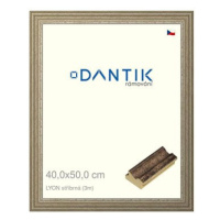 DANTIK rámeček 40 × 50, LYON stříbrný plexi čiré