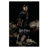 Umělecký tisk Harry Potter and the Goblet of Fire - Harry, 26.7 × 40 cm