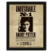 Harry Potter: Obraz 3D - Sirius Black