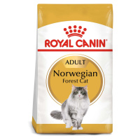 ROYAL CANIN Norwegian Forest Cat Adult pro norské lesní kočky 10 kg