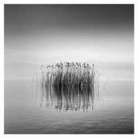 Fotografie Black and White Silence, George Digalakis, 40 × 40 cm