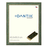 DANTIK rámeček 40 × 50, LYON zelený plexi čiré