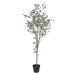 Umělý eukalyptus (výška 180 cm) Eucalyptus – Ixia