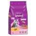 Whiskas Junior kuřecí - 1.9 kg