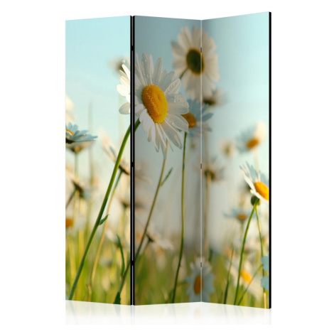 Paraván Daisies - spring meadow Dekorhome 225x172 cm (5-dílný)