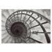 Dekoria Obraz na plátně Spiral Stairs, 100 x 70 cm