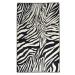 Koberec Zebra – 80 × 150 cm