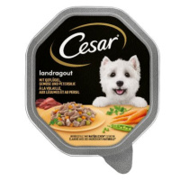 Megapack Cesar mistička 14 x 150 g - Klasika se šťavnatým hovězím a játry