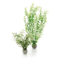 biOrb Aquatic Zima flower set 2