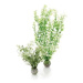 biOrb Aquatic Zima flower set 2