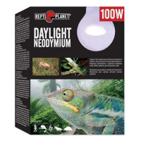 Žárovka REPTI PLANET Daylight Neodymium 100 W